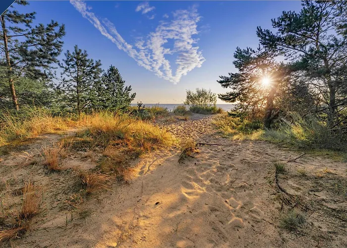 Linde 1 Heringsdorf (Usedom)