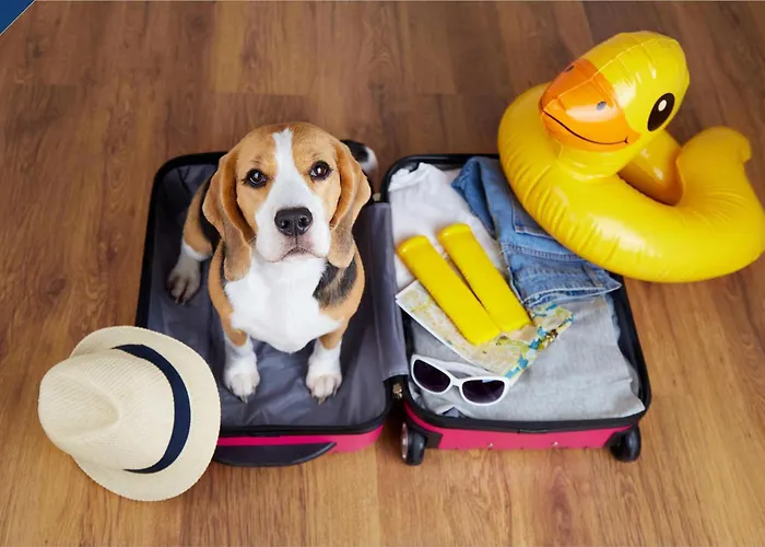 Linde 1 * Heringsdorf (Usedom)